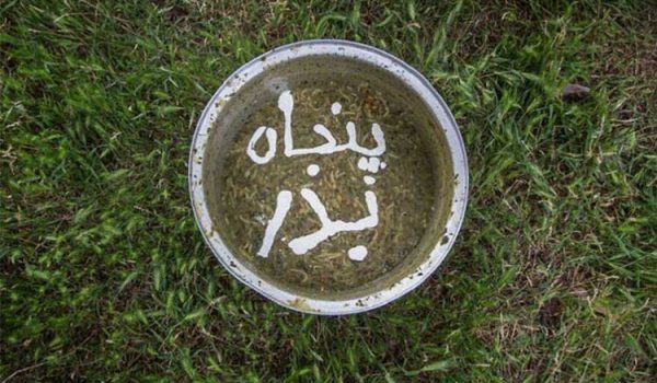 پنجاه به در قزوین