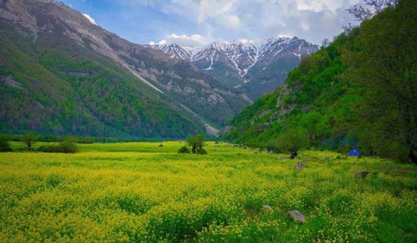 دشت دریاسر تنکابن مازندران
