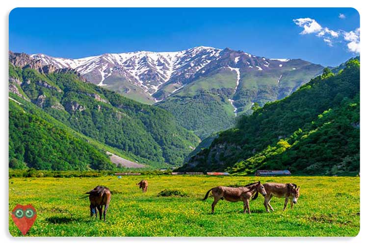 سفر به دشت دریاسر تنکابن