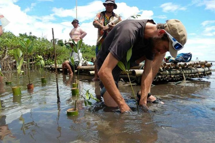 کار به جای اقامت