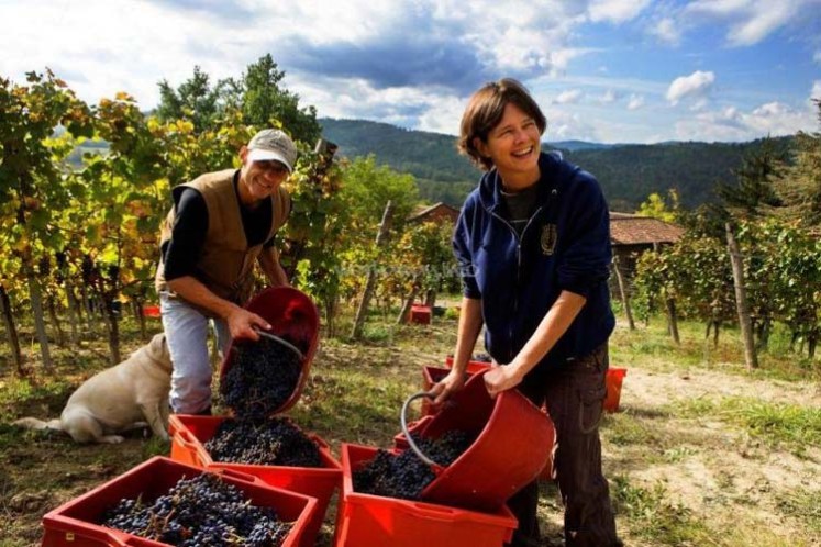 کار در ازای سفر