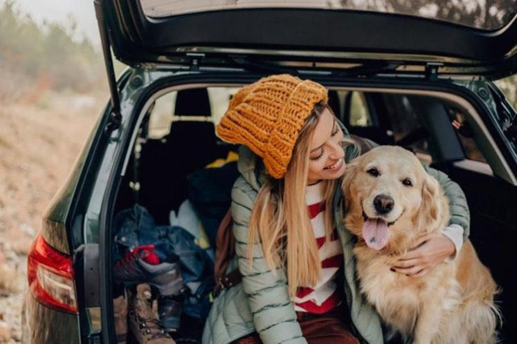 راهنمای سفر با پت